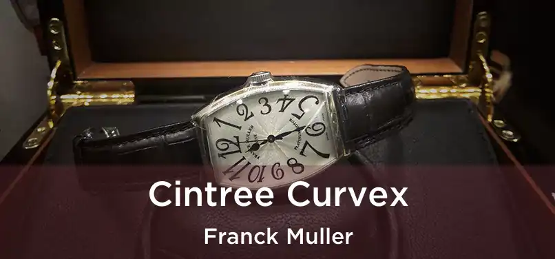 Cintree Curvex Franck Muller