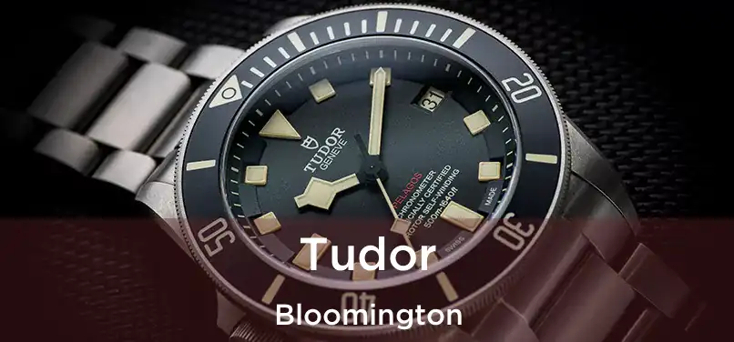  Tudor Bloomington